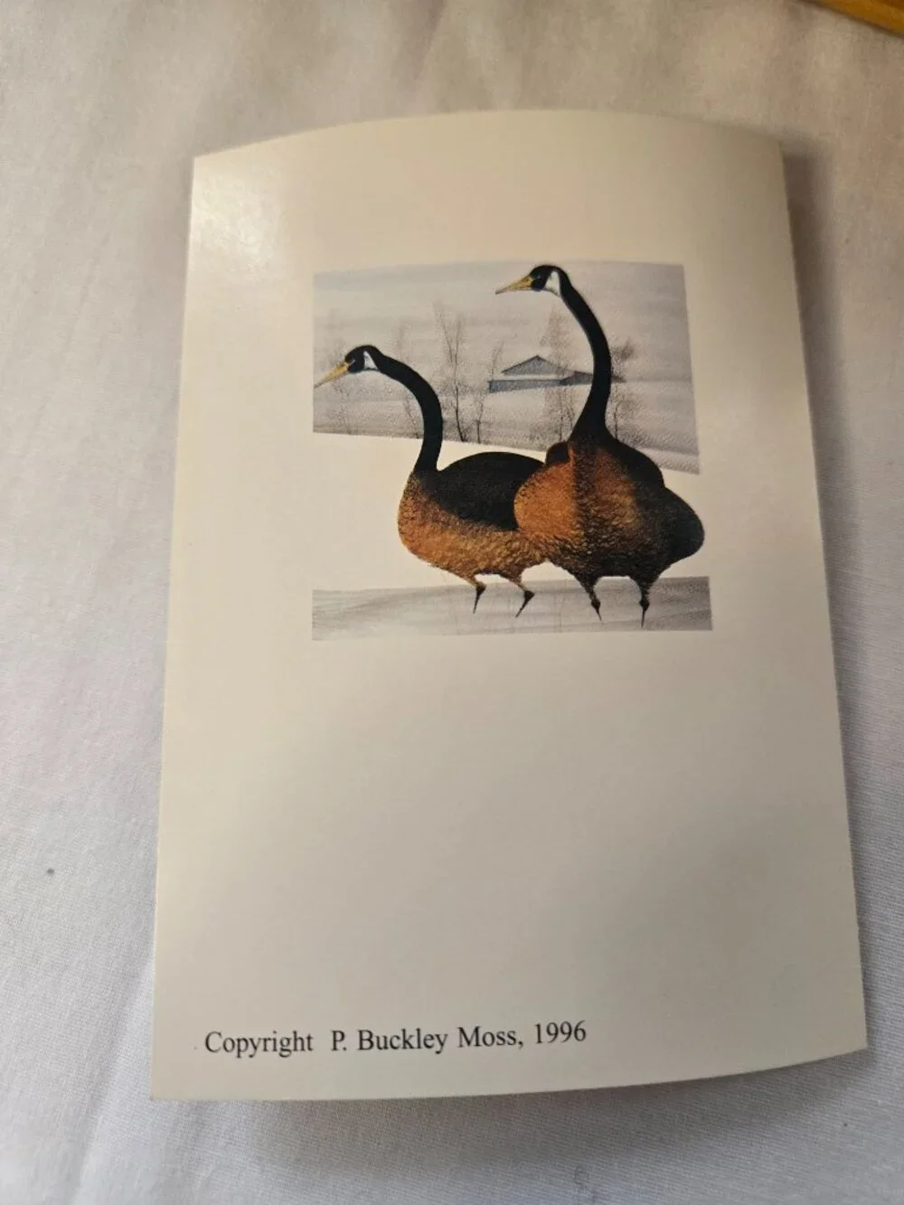 P. Buckley Moss 1996 Mother and Child Lane Keepsake Chest With 2 Keys